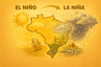 Fenômeno climático extremo pode dar direito a adiamento de dívidas rurais