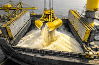 Por que o Brasil precisa importar fertilizantes?