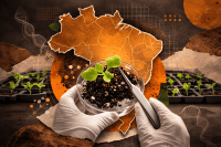 Brasil é líder em biotecnologia agrícola, mas falta rapidez regulatória