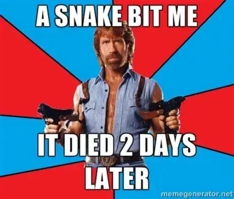 Meme que diz: Uma cobra me mordeu. Ela morreu dois dias depois" • Reprodução