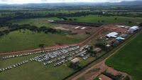 Produtividade a pasto salta 175% em centro de pesquisa de Mato Grosso