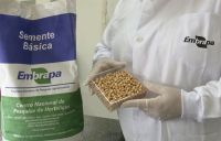 Brasil na Lua: comida lunar pode ser projetada pela Embrapa