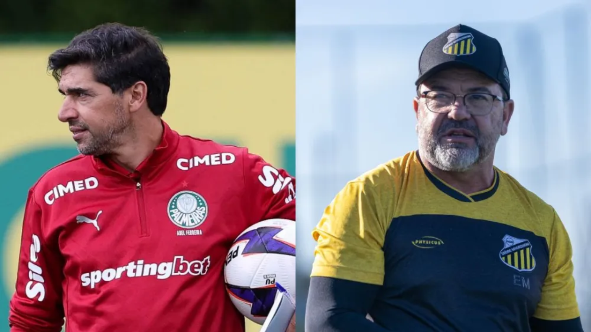 Abel Ferreira e Enderson Moreira