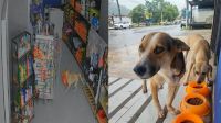 Uma nova lei brasileira, publicada nesta sexta-