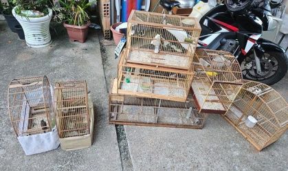 GAECO-OPERAÇÃO ARUANA