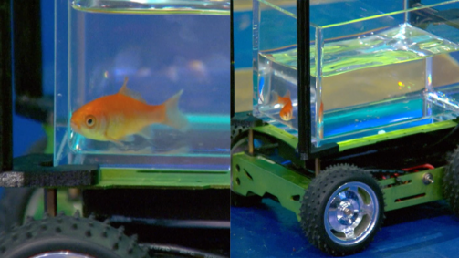 Toda vez que Blub se desloca para um lado do tanque, a câmera capta o movimento e direciona o veículo para o mesmo sentido
