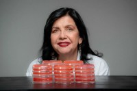 Quem é Mariangela Hungria: cientista entre os 100 mais influentes do mundo