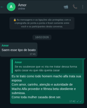 Coversas mostram mensagens como "macho alfa" e "fêmea beta" • Reprodução