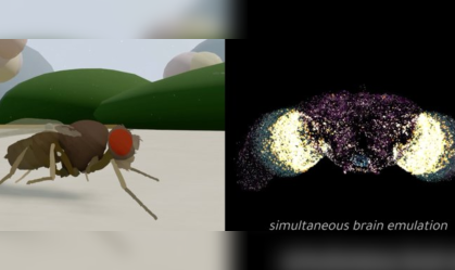 SIMULAÇÃO MOSCA VIRTUAL