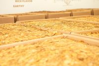 Exportações brasileiras de tabaco registram recorde em 2025