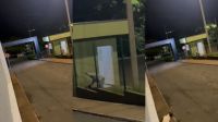 Funcionário de parque é preso após agredir cachorro com bambu em MG