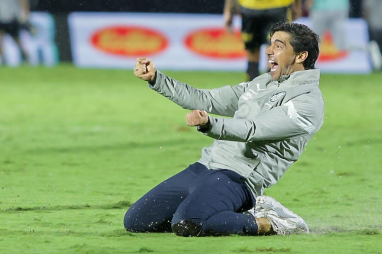 Abel Ferreira