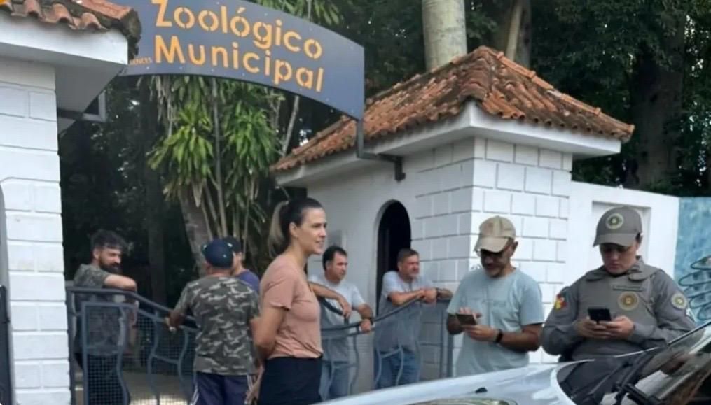 zoo-rs-invasão