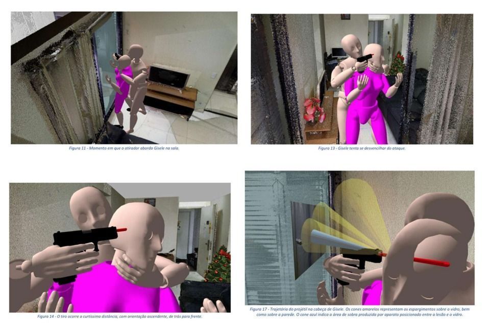 • Reprodução