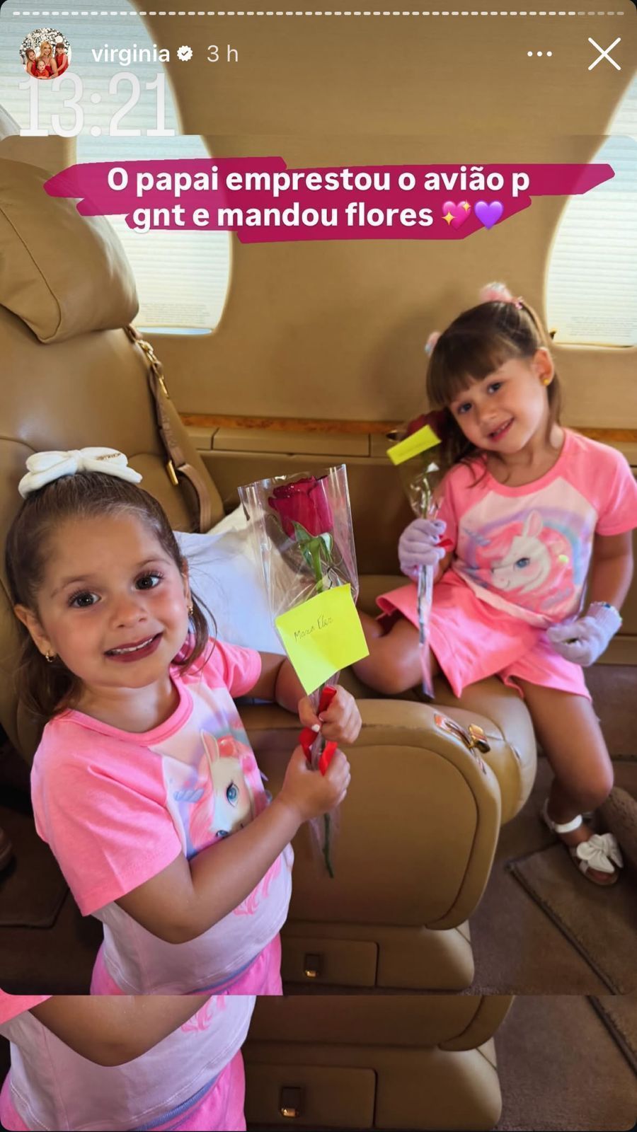 Maria Flor e Maria Alice viajam com Virginia • Virginia / Instagram