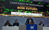 Re.green vence leilão florestal e marca estreia de créditos de carbono