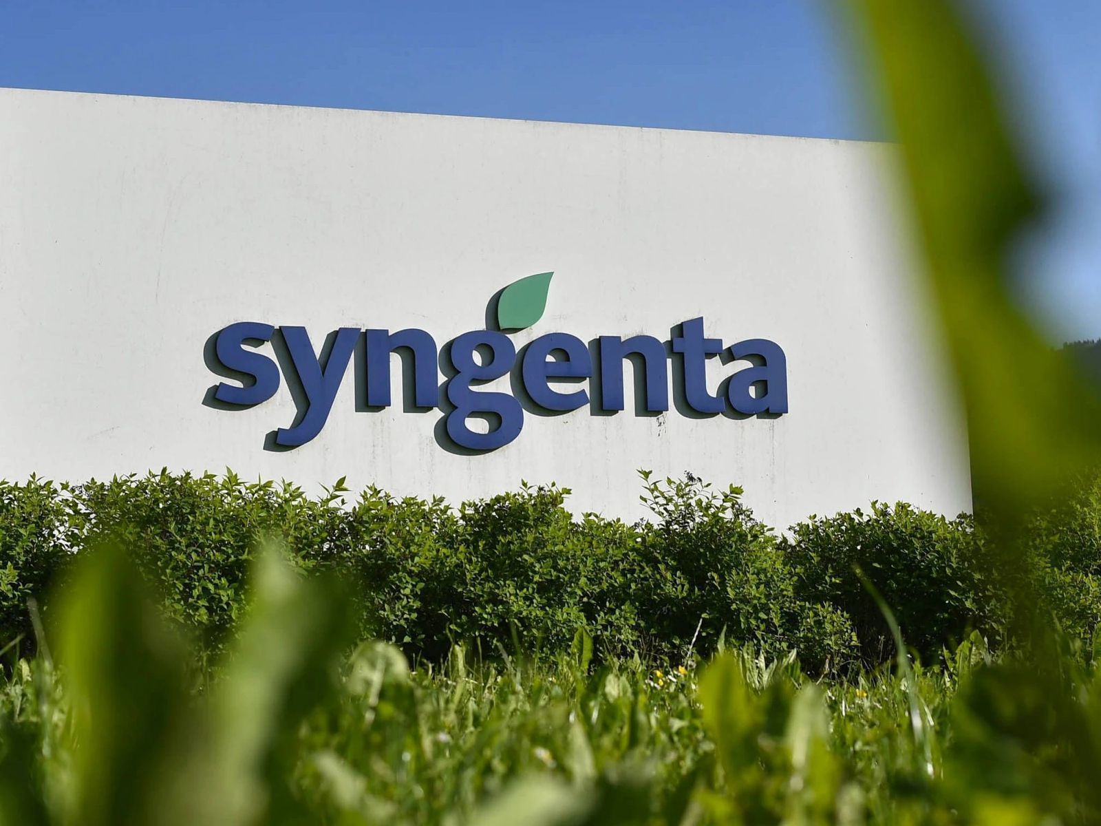 Syngenta
