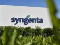 Syngenta aposta em gestão digital diante de crédito restrito