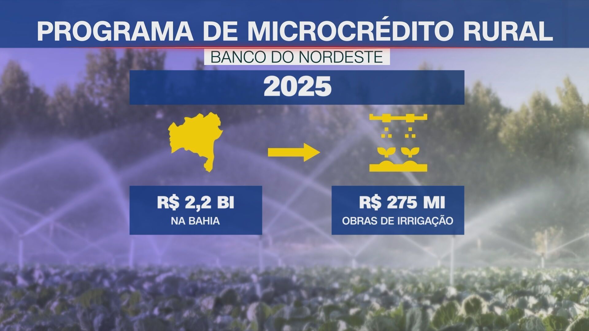 • Reprodução