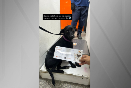 Cachorra foge em Congonhas e paralisa aeroporto por quase dez minutos