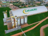 Caramuru prevê salto de 50% na soja não transgênica em MT