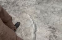 Teerã tem “chuva escura" após bombardeios em depósitos de petróleo