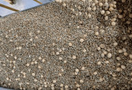 Ministério da Agricultura identifica fraude em carga de soja em Paranaguá