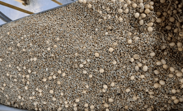 Ministério da Agricultura identifica fraude em carga de soja em Paranaguá