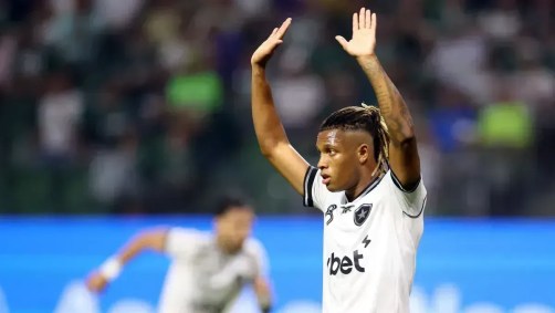 Danilo marcou gol contra o Palmeiras, mas não evitou derrota do Botafogo no Allianz Parque