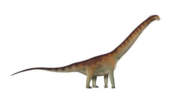 dinossaurobrsailc
