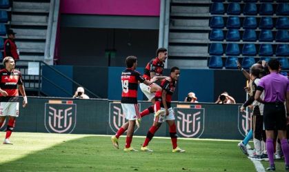 flasub20
