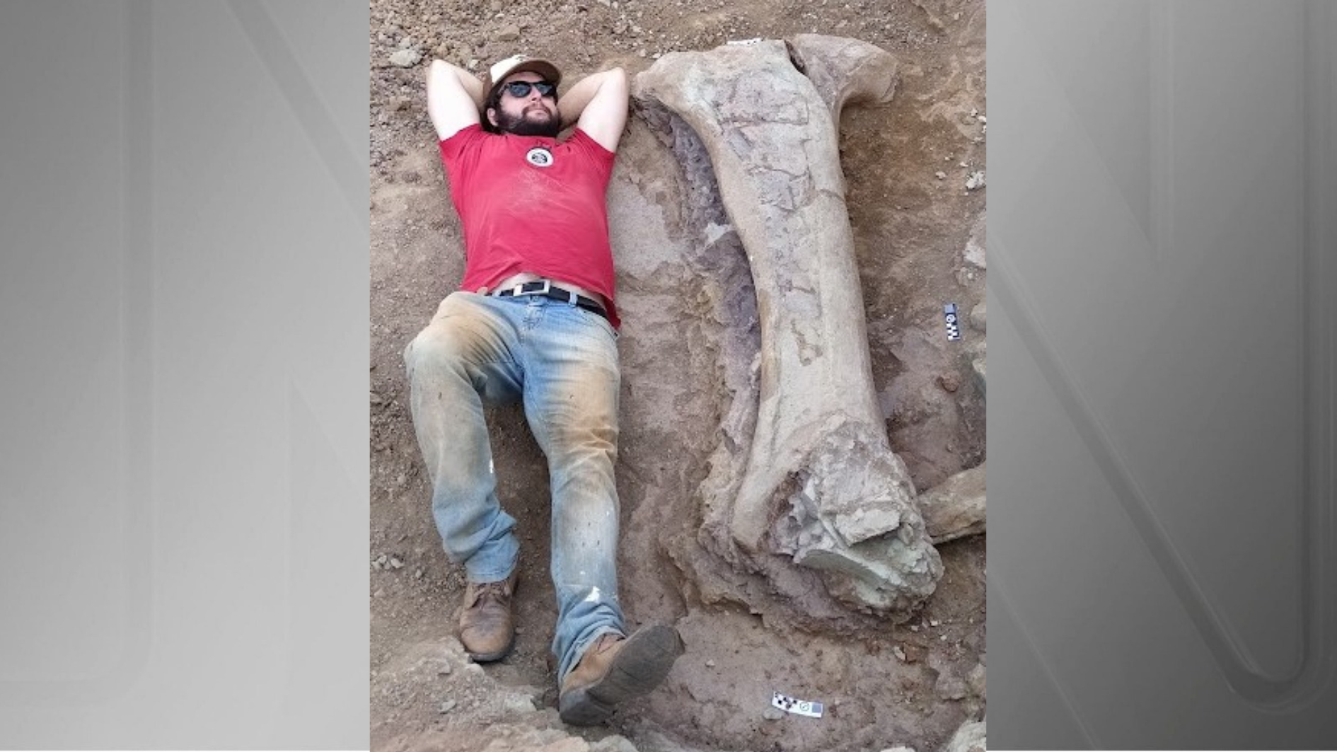 Para dar uma ideia da dimensão gigantesca do dinossauro encontrado, o paleontólogo da UFSM Leonardo Kerber deita-se ao lado de um dos fósseis escavados no Maranhão • Reprodução/UFSM