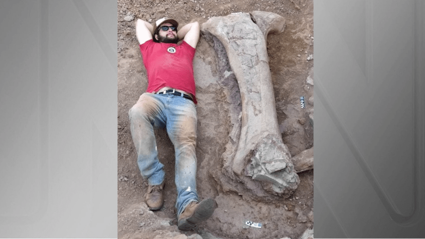 Para dar uma ideia da dimensão gigantesca do dinossauro encontrado, o paleontólogo da UFSM Leonardo Kerber deita-se ao lado de um dos fósseis escavados no Maranhão • Reprodução/UFSM