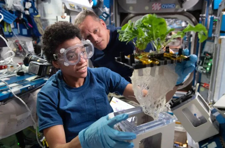 Os astronautas da NASA Jessica Watkins (à frente) e Bob Hines trabalham no projeto XROOTS a bordo da Estação Espacial Internacional. Este experimento utilizou a instalação Veggie da estação para testar o cultivo de plantas em sistemas hidropônicos e aeropônicos sem solo • NASA
