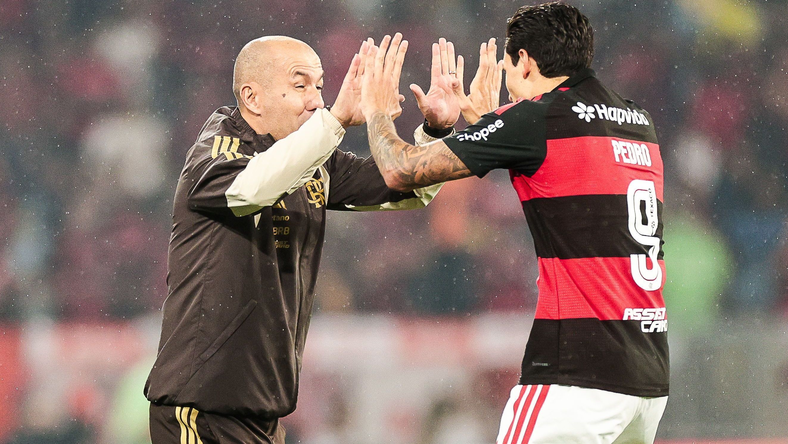 Pedro comemora com Leonardo Jardim o gol que abriu o placar para o Flamengo contra o Cruzeiro