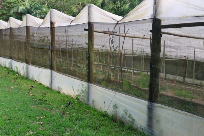 Horta do presídio militar Romão Gomes • Divulgação/TJMSP