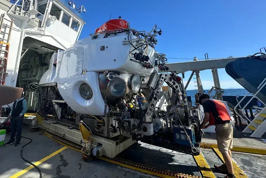 O submersível de pesquisa Alvin foi usado para procurar micróbios Asgard nas profundezas do oceano • Brett Baker/Fundação Nacional de Ciências