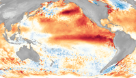 Entenda como o El Niño impacta culturas em regiões tropicais