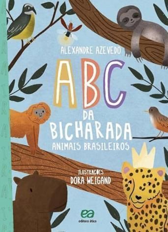 • Divulgação