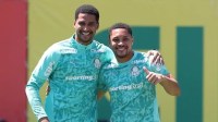 Palmeiras terá retorno de titulares para jogo contra o Botafogo
