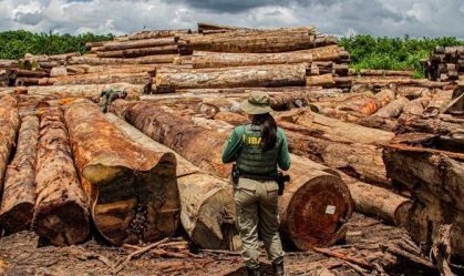 operação ibama maravalha