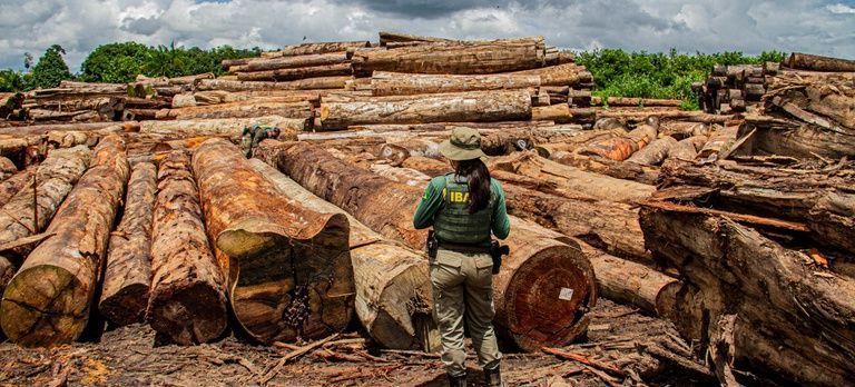 Ibama nega suborno, apreende madeira e aplica R$ 110 mi em multas no Pará
