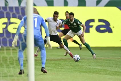 Palmeiras não vence Botafogo em casa desde 2022 e, na temporada passada, empatou com o adversário