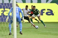 Palmeiras precisa quebrar tabu contra o Botafogo para se manter no topo