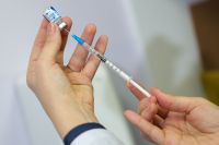 Vacinação contra gripe começa neste sábado; saiba quem pode receber vacina