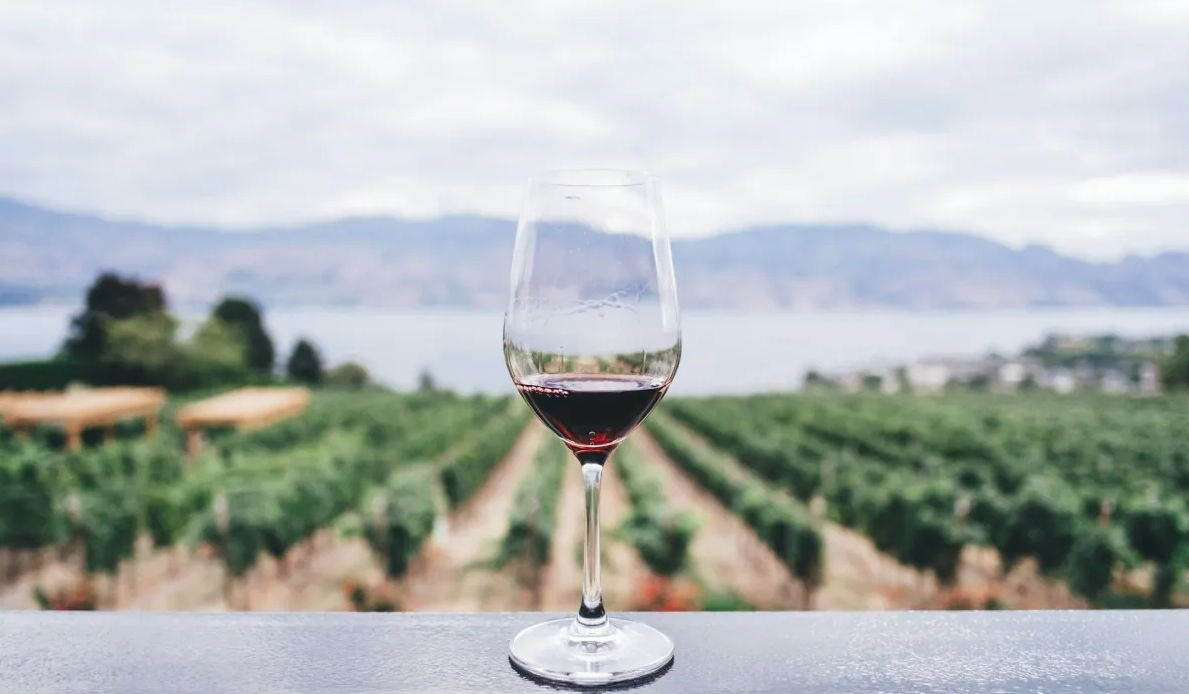 vinho