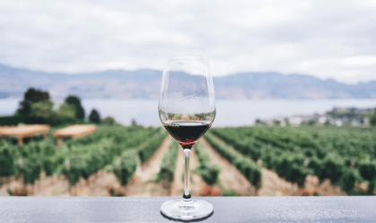 Vinho avaliado em mais de R$ 600 mil é aberto após 127 anos: "Milagre"
