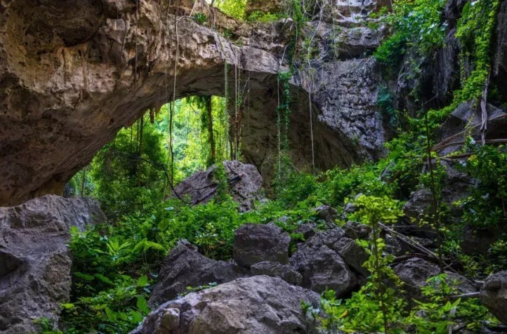 Caverna Laang Spean na província de Battambang, noroeste do Camboja • Phyroum Chourn/Fauna e Flora