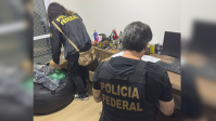 Operação da PF mira rede ilegal de remédios oncológicos