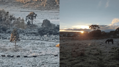 Santa Catarina amanheceu com temperaturas negativas e paisagens cobertas de geada, nesta terça-feira (28)